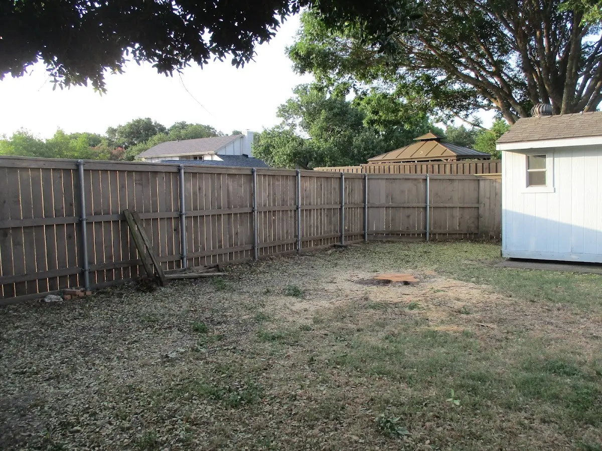 Cleared yard after professional tree removal in Milford Center