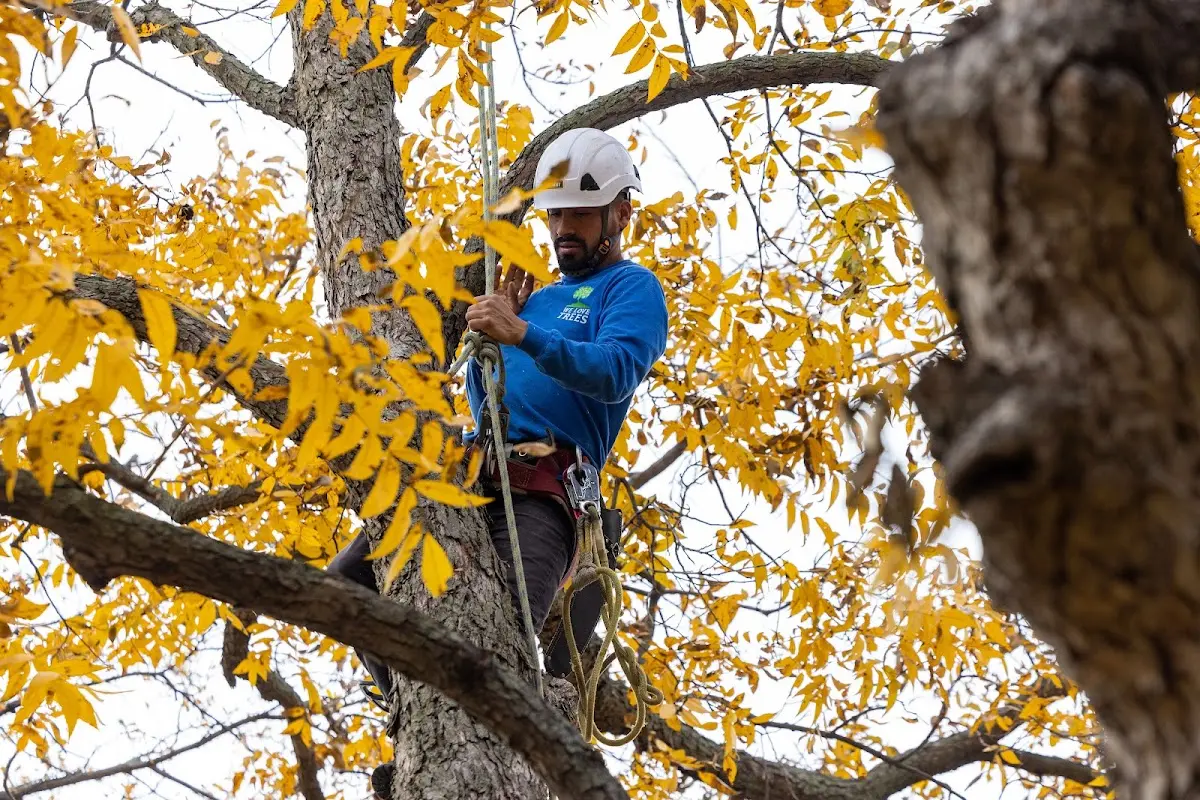 Skilled Storm Damage Cleanup crew working in Milford Center