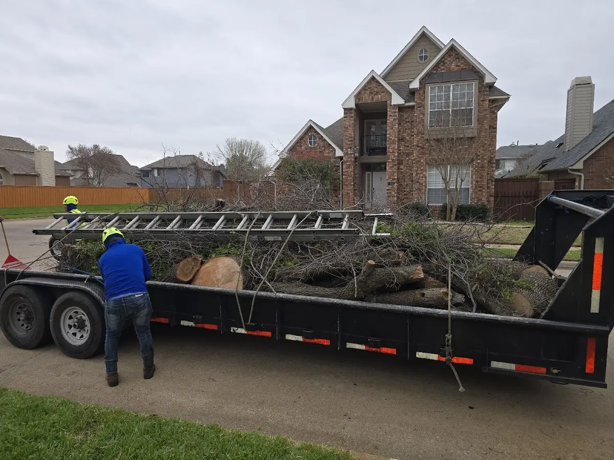 Expert Lot Clearing with proper safety equipment in Milford Center